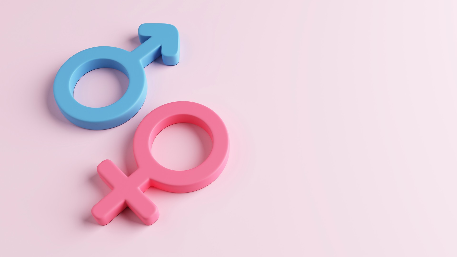 Female male symbol sex gender on pink ground. learn feminine masculine boy girl pink blue pastel. Equality lover married couple sexual intercourse or family relationship. copy space. 3D Illustration.